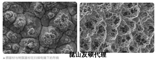 中山蔡司中山扫描电镜