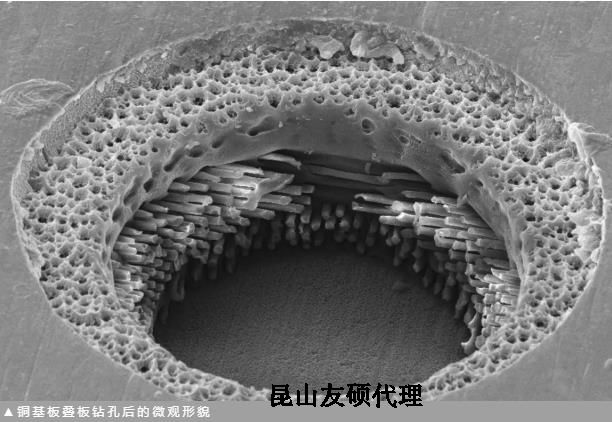 中山蔡司中山扫描电镜